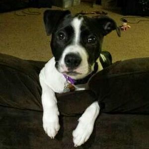 Meet your Posher, Audrey